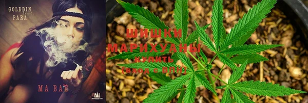 spice Видное