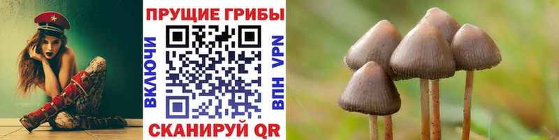 Галлюциногенные грибы Psilocybe  Бобров 